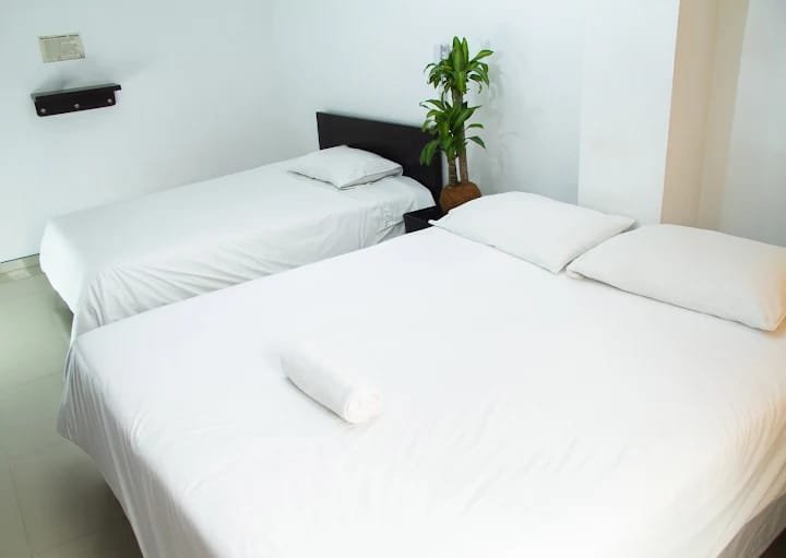 Habitación con dos camas y planta decorativa
